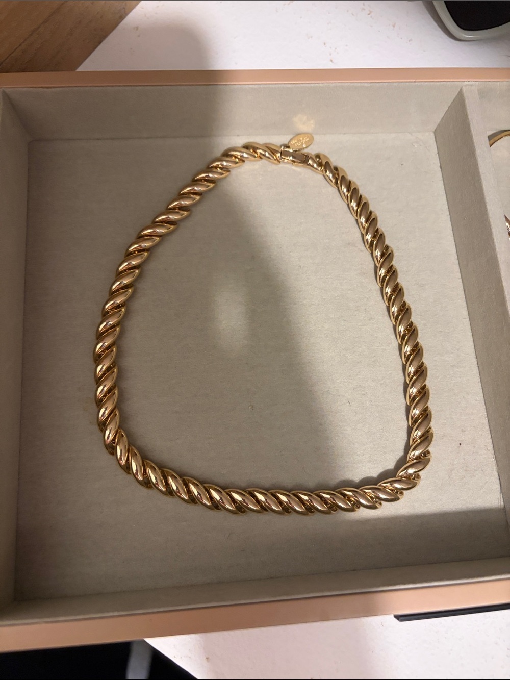 Ann Taylor Factory Twisted Rope Necklace in Gold Tone